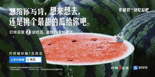 吃瓜娱乐圈文案,揭秘明星幕后真相